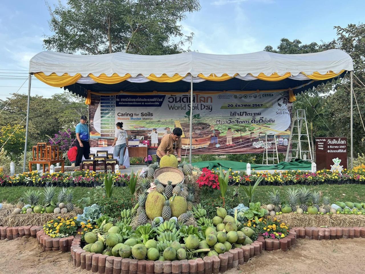 ภาพประกอบที่ 7