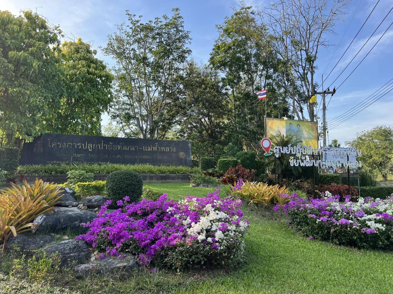 ภาพประกอบที่ 8