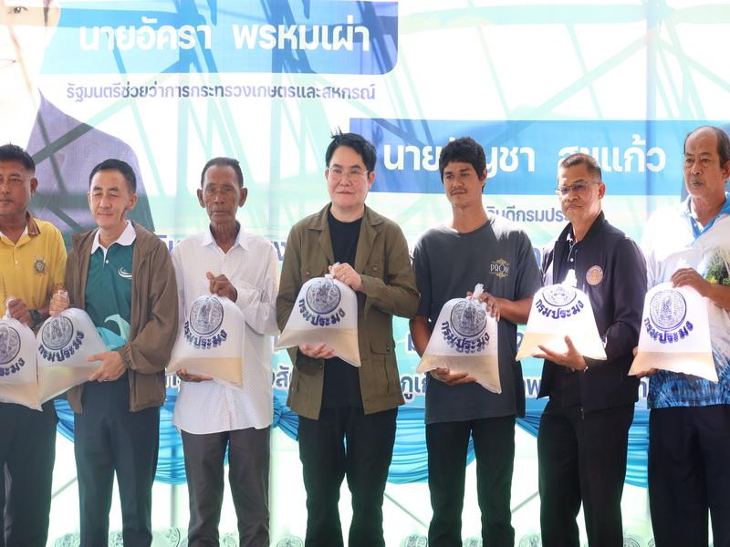 ภาพประกอบที่ 15