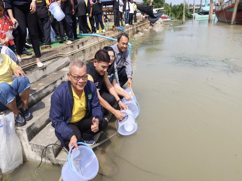 ภาพประกอบที่ 11