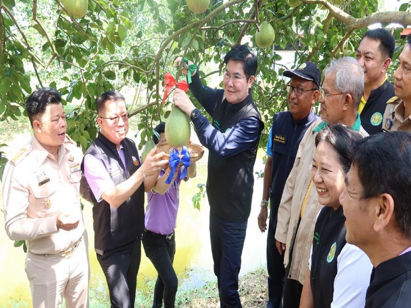 ภาพประกอบที่ 8