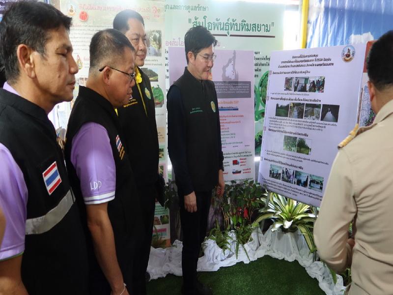 ภาพประกอบที่ 9