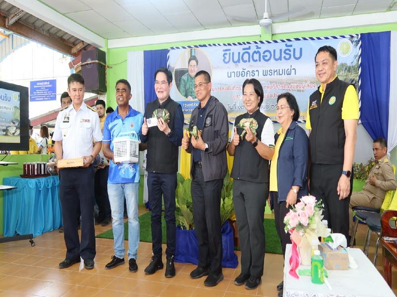 ภาพประกอบที่ 8