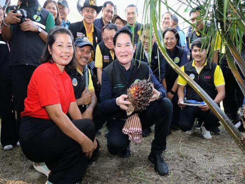 ภาพประกอบที่ 8