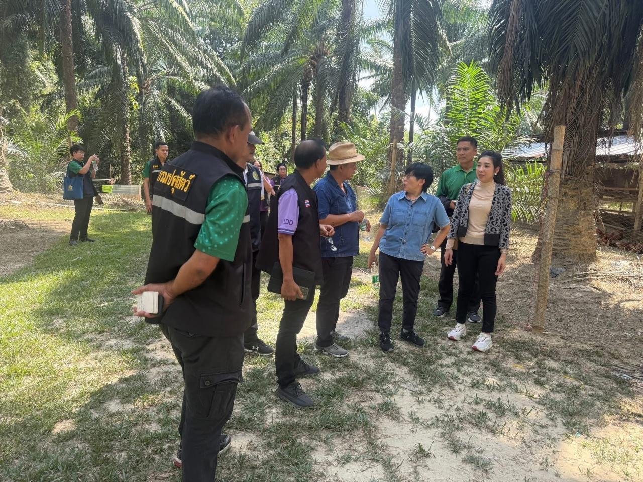 ภาพประกอบที่ 5