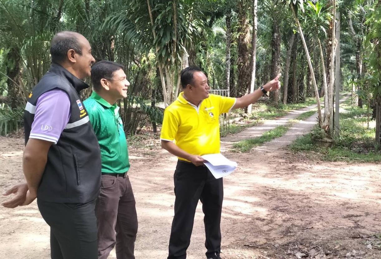 ภาพประกอบที่ 0