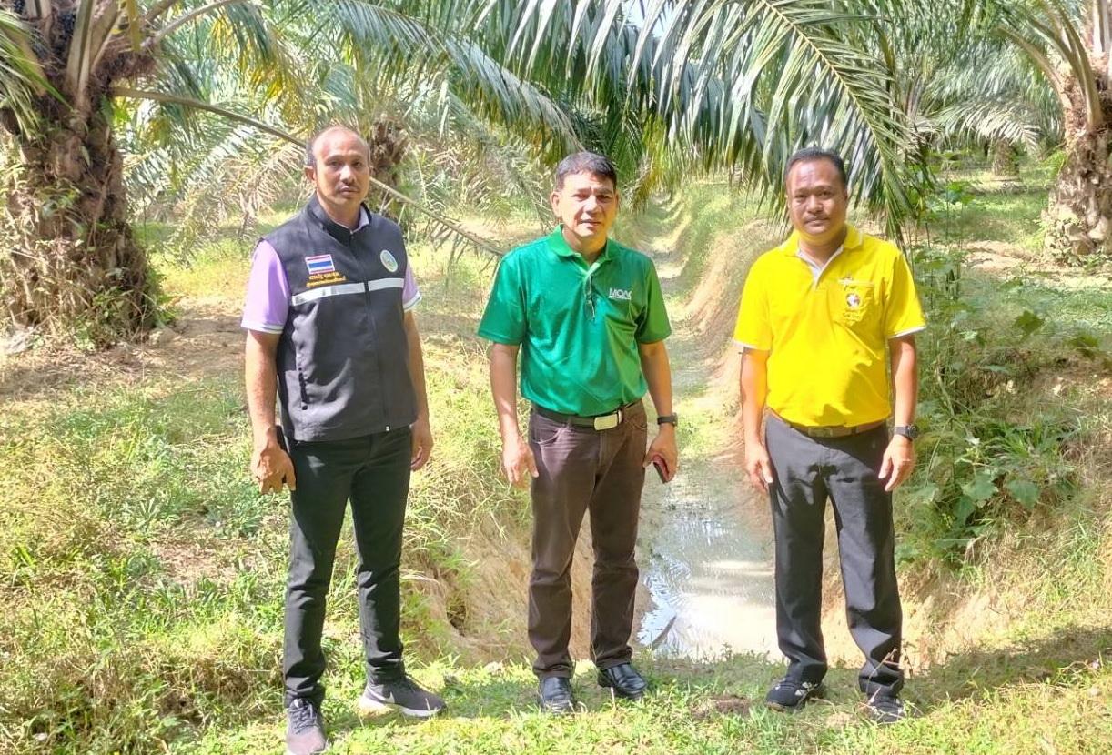 ภาพประกอบที่ 3