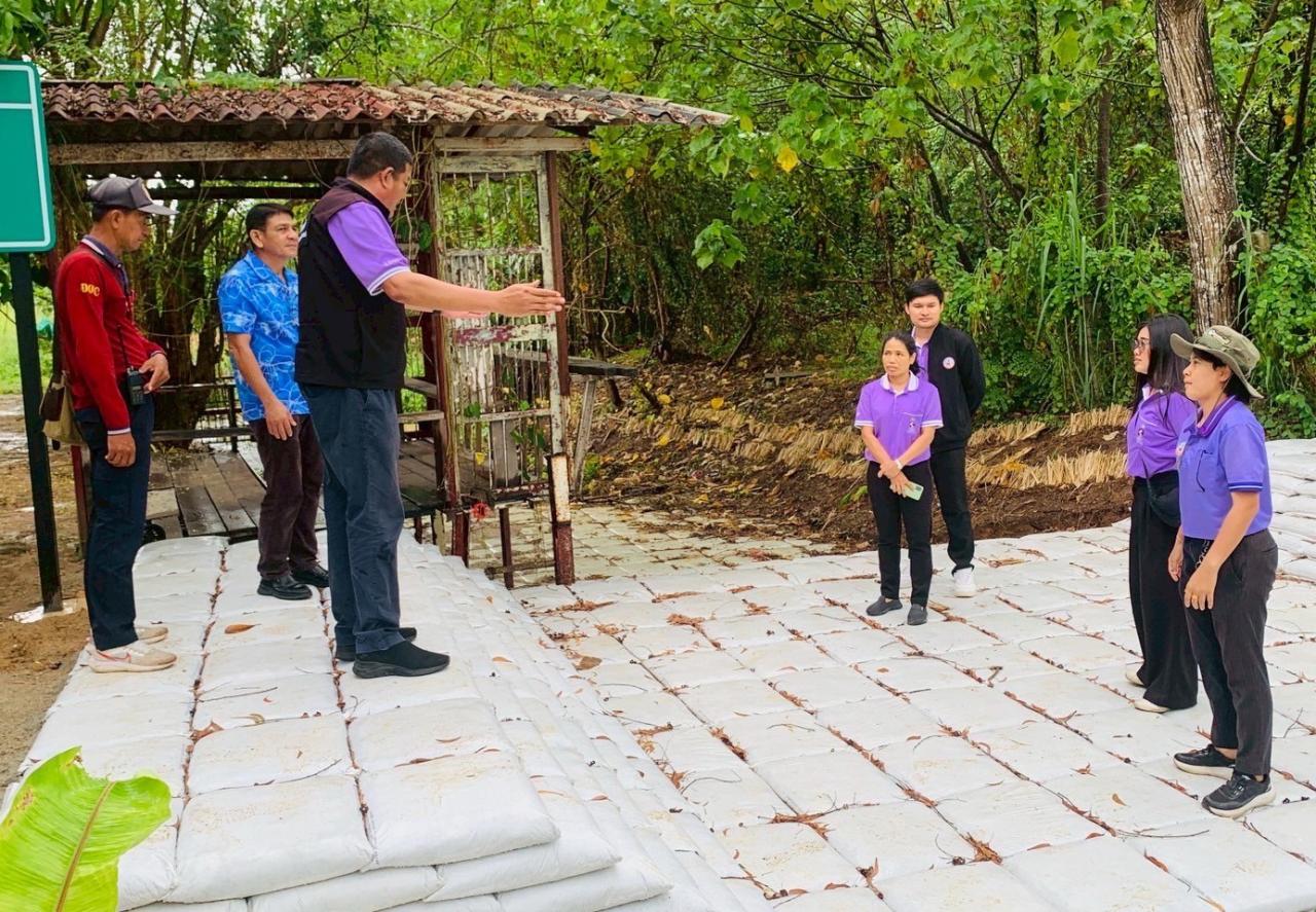 ภาพประกอบที่ 3