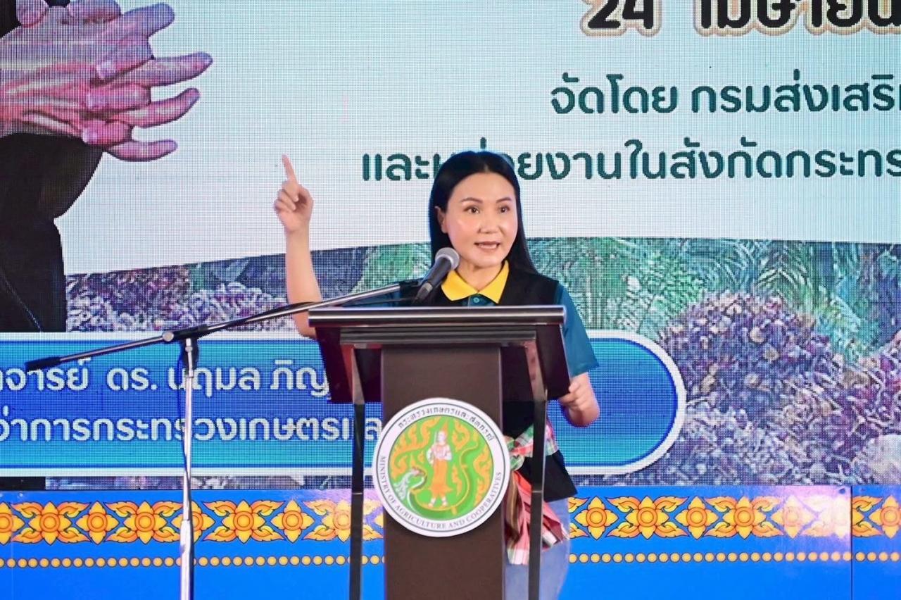 ภาพประกอบที่ 7