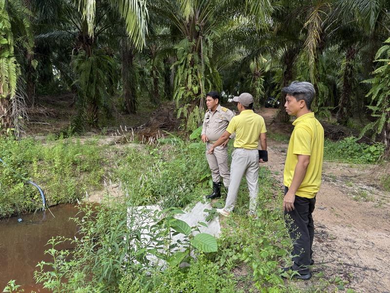 ภาพประกอบที่ 5