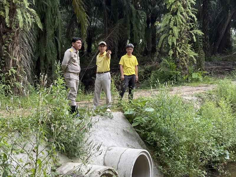 ภาพประกอบที่ 6