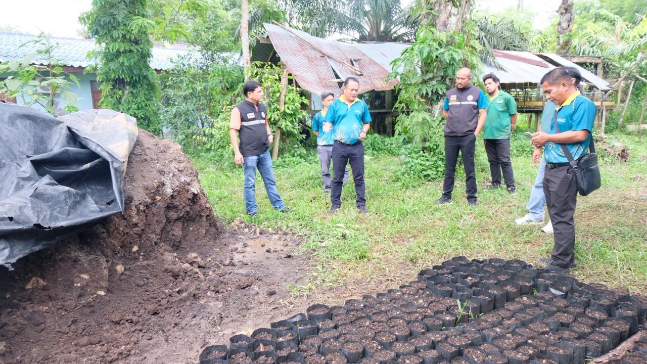 ภาพประกอบที่ 11