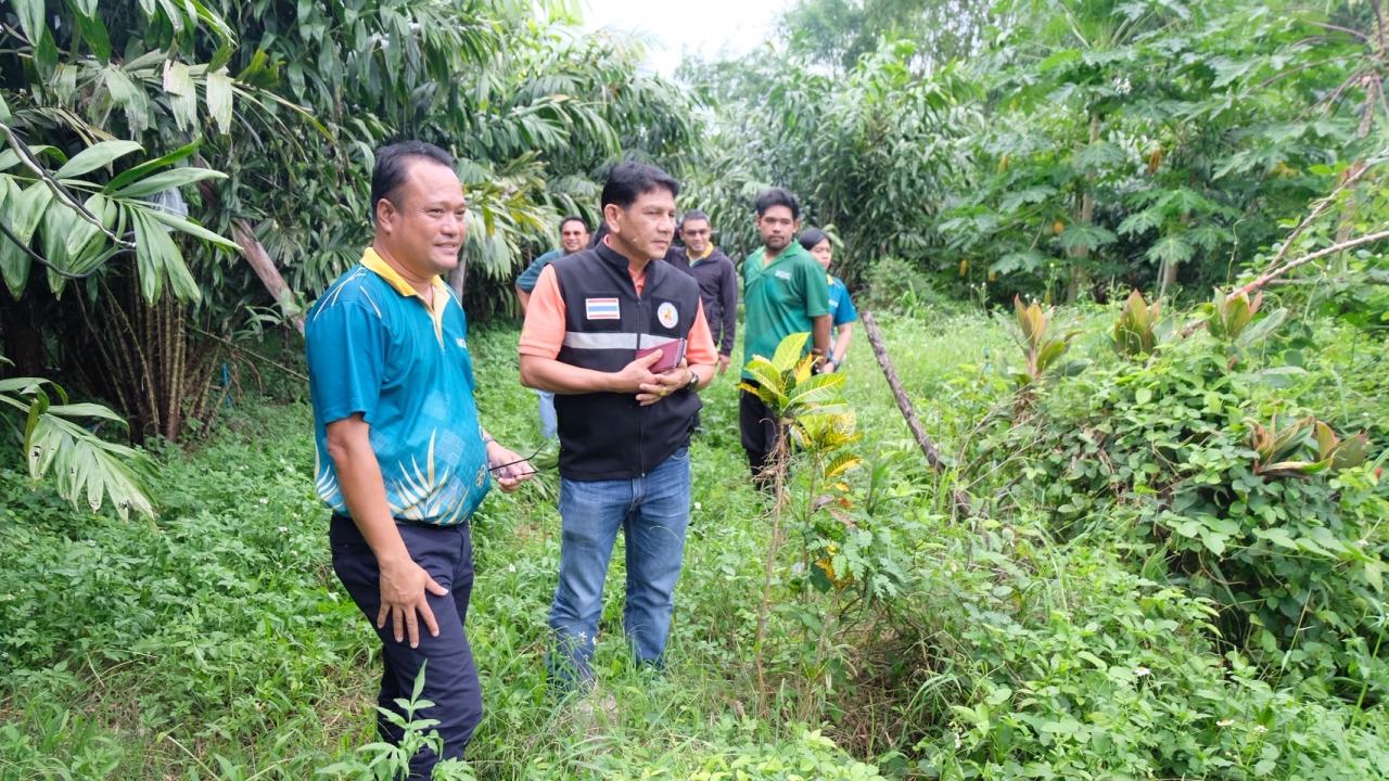 ภาพประกอบที่ 12