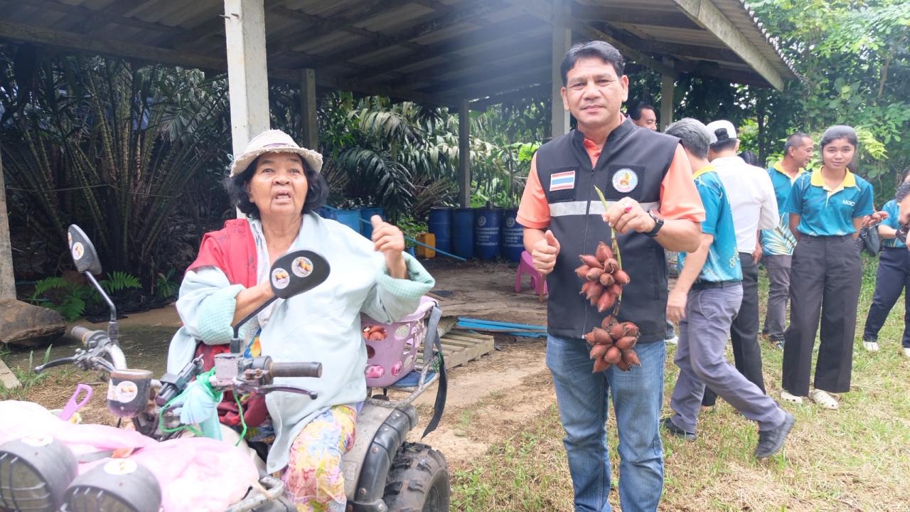 ภาพประกอบที่ 13