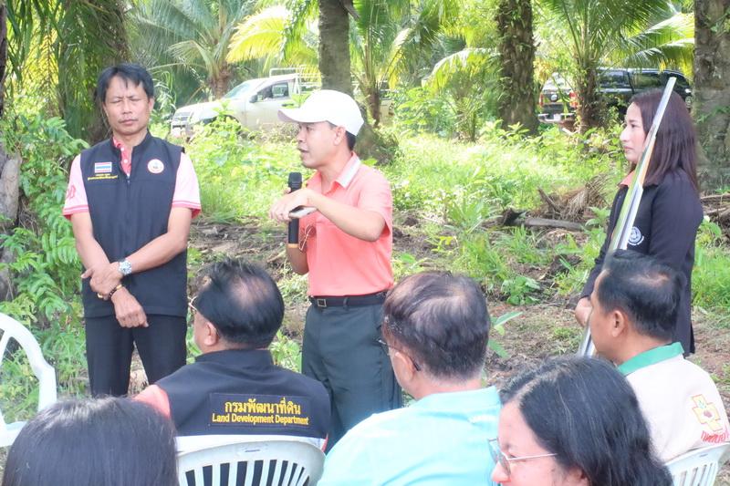 ภาพประกอบที่ 13