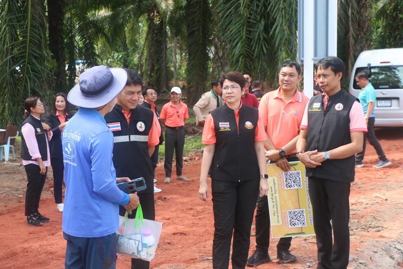 ภาพประกอบที่ 17