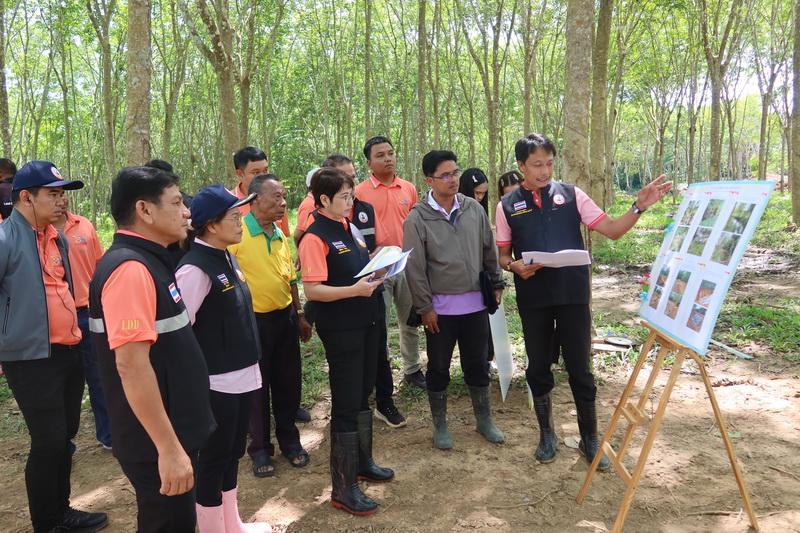 ภาพประกอบที่ 1