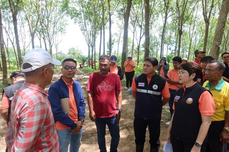 ภาพประกอบที่ 6