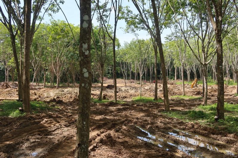 ภาพประกอบที่ 8