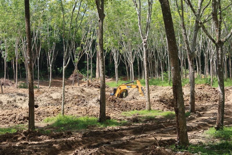 ภาพประกอบที่ 9