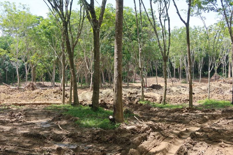 ภาพประกอบที่ 10