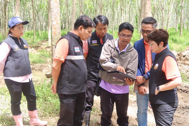 ภาพประกอบที่ 12