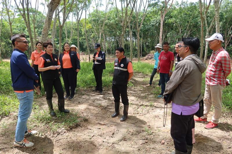 ภาพประกอบที่ 16