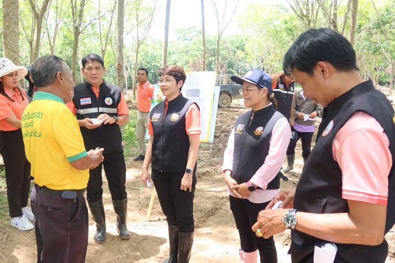 ภาพประกอบที่ 17