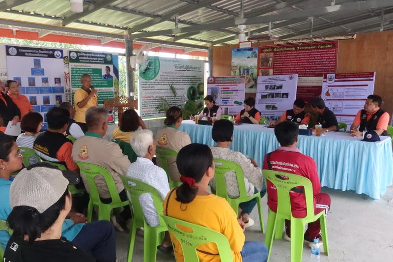 ภาพประกอบที่ 7