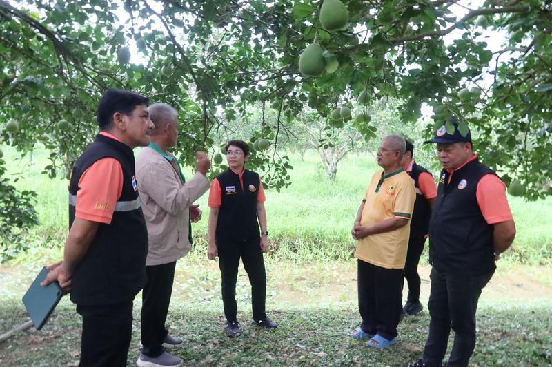 ภาพประกอบที่ 18