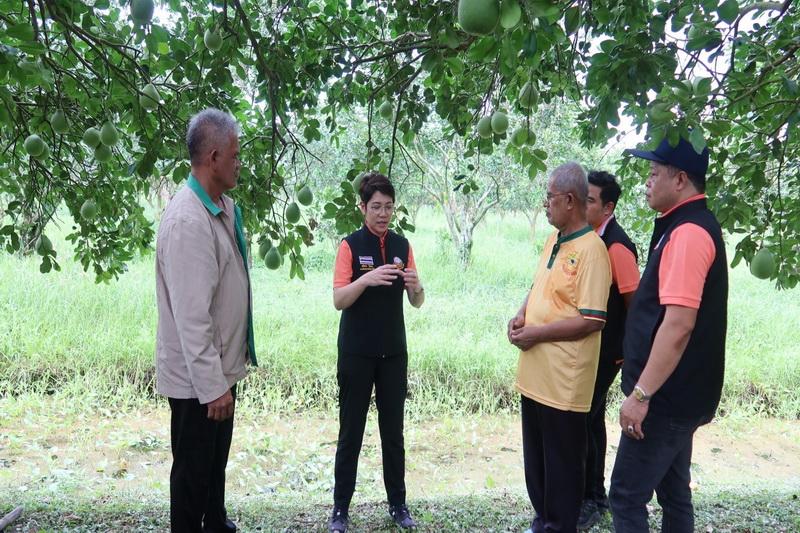 ภาพประกอบที่ 19