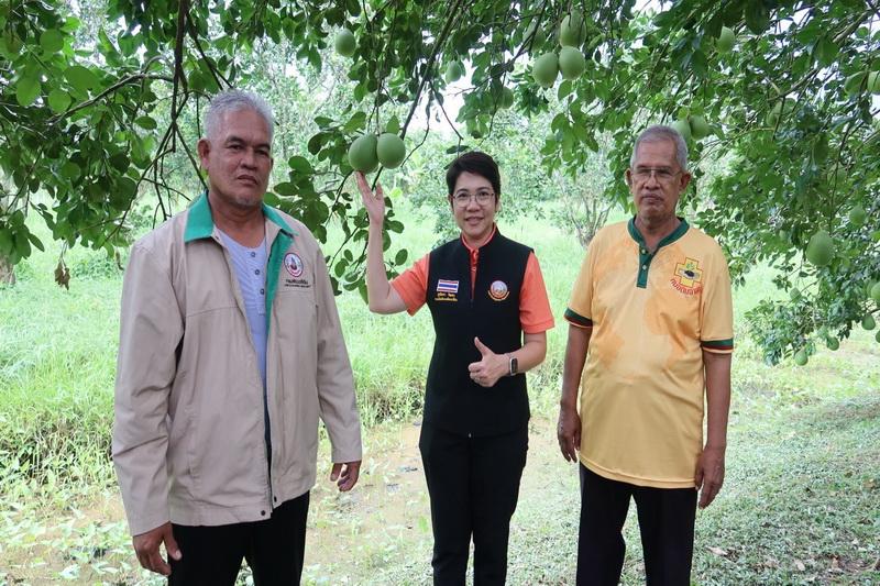 ภาพประกอบที่ 20