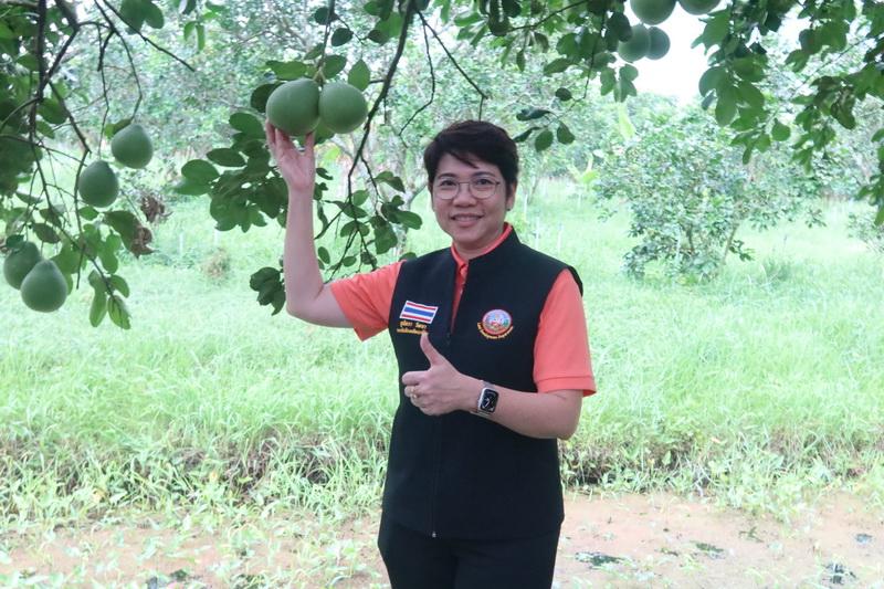 ภาพประกอบที่ 21