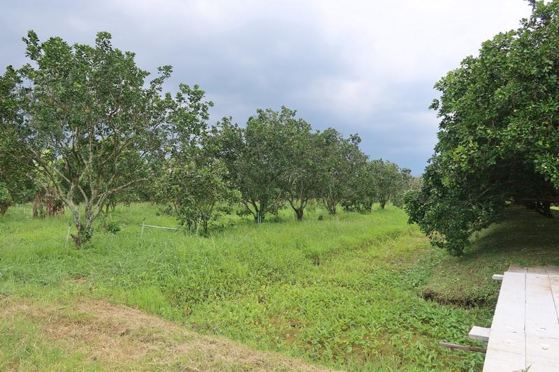 ภาพประกอบที่ 23