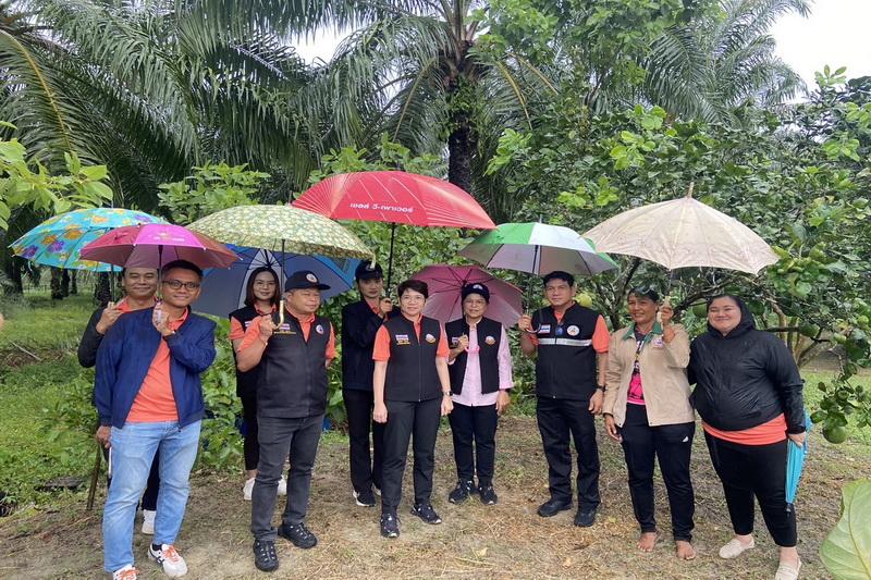 ภาพประกอบที่ 24