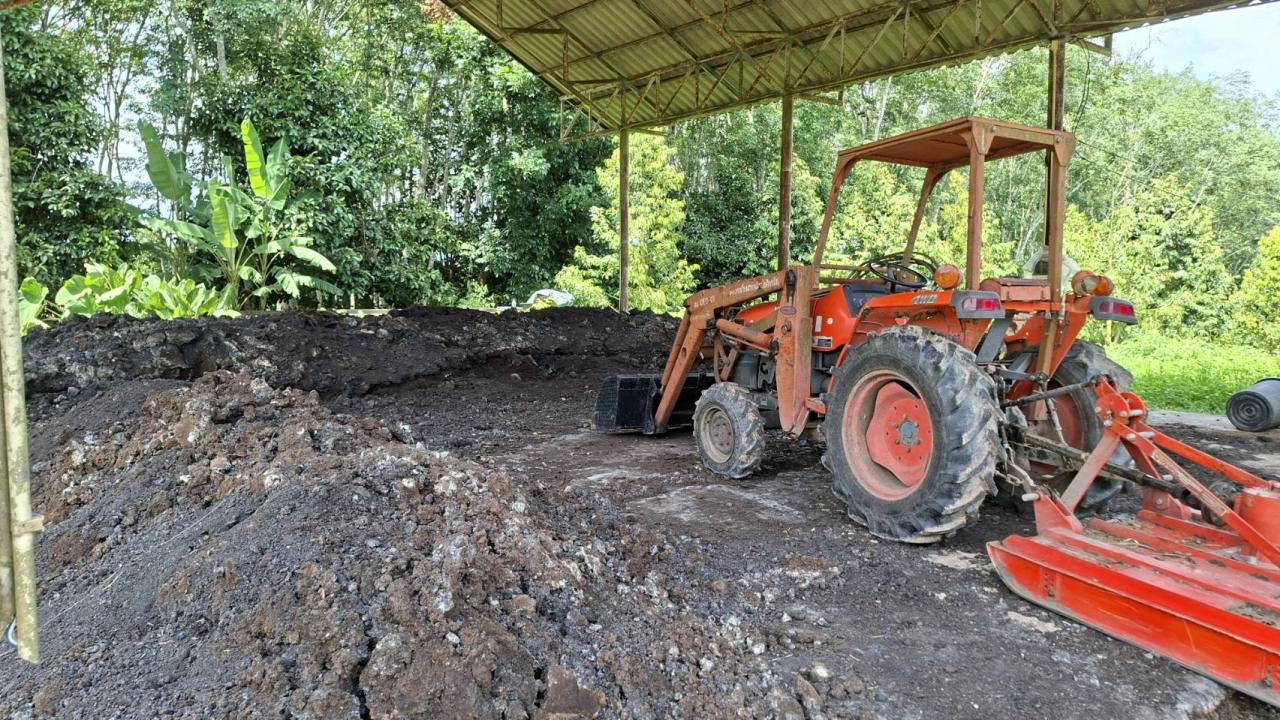 ภาพประกอบที่ 12