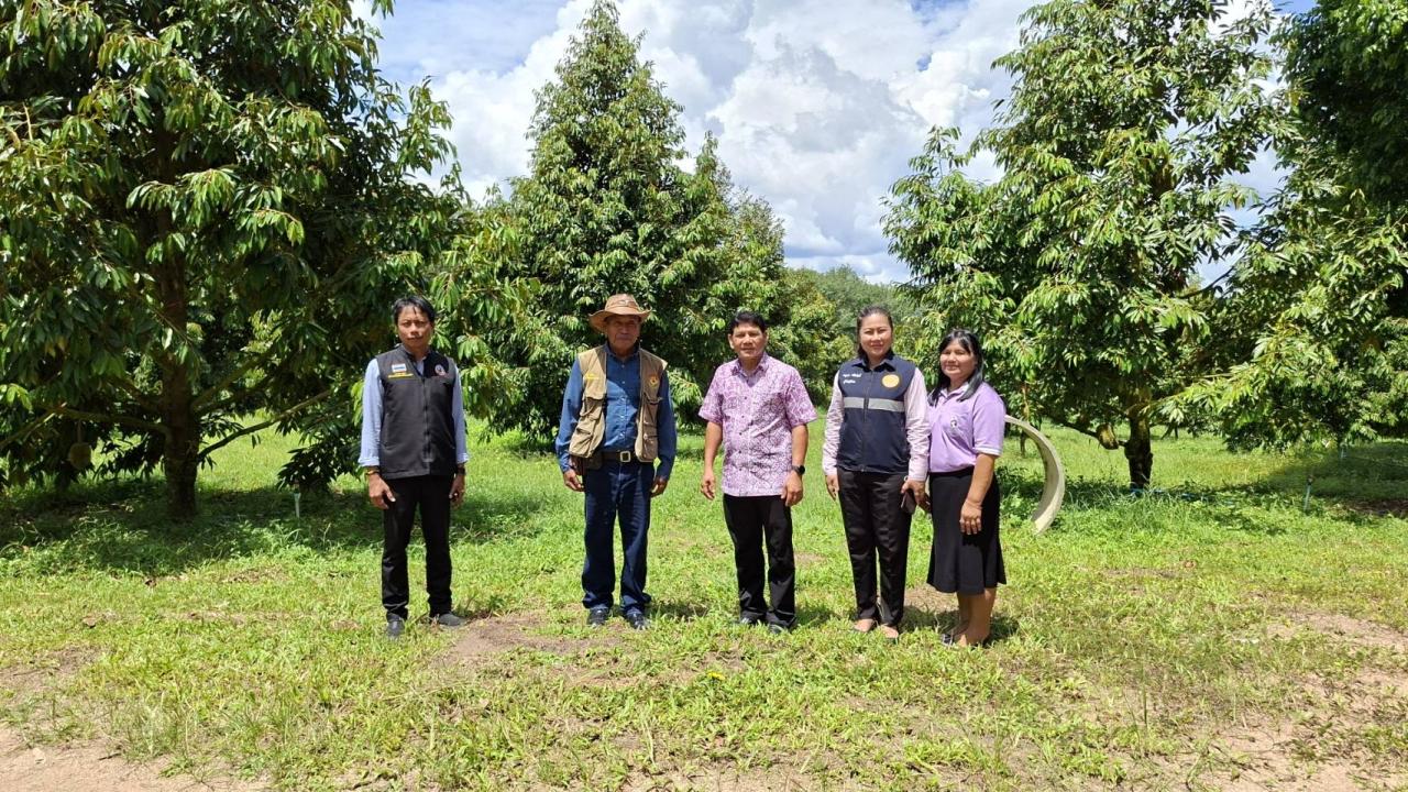 ภาพประกอบที่ 13