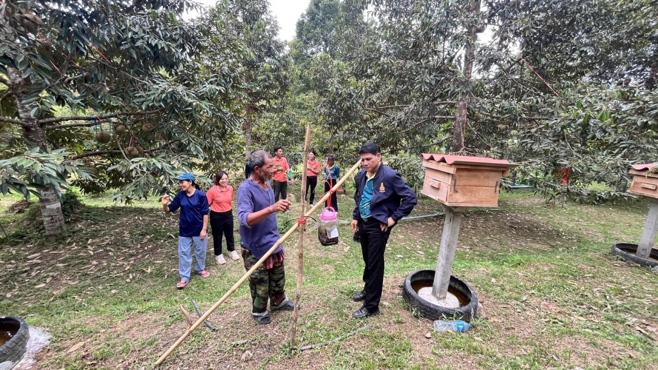 ภาพประกอบที่ 3