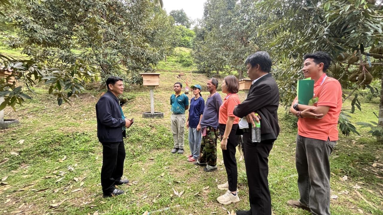 ภาพประกอบที่ 4