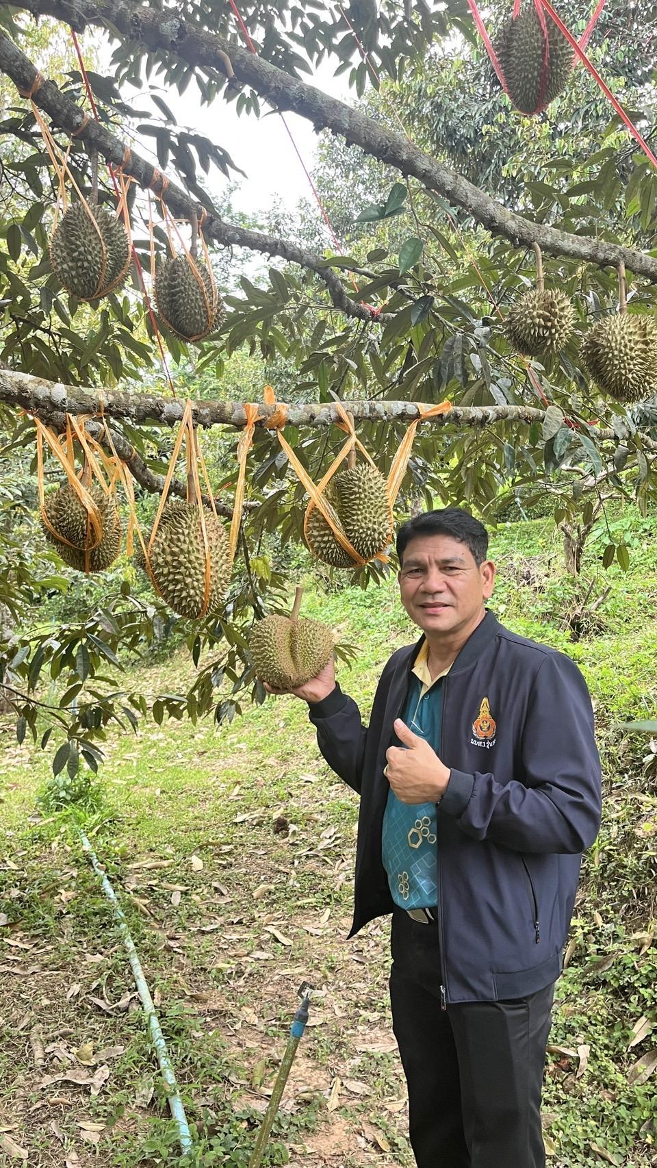 ภาพประกอบที่ 7
