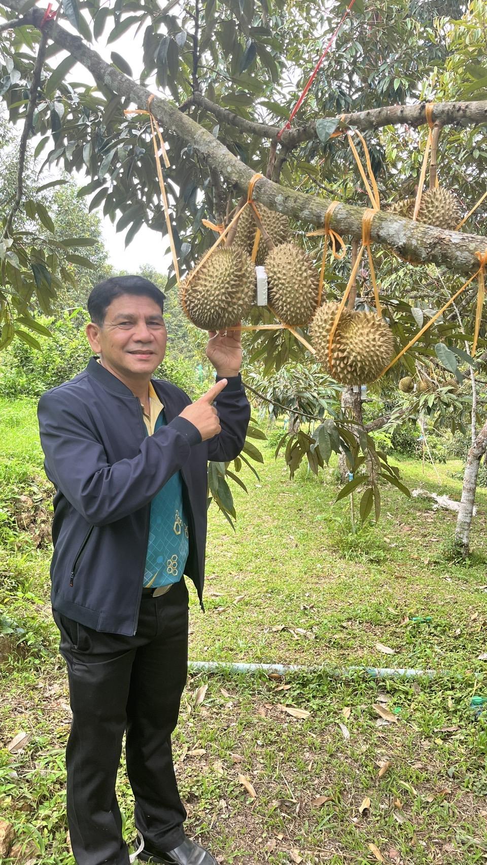 ภาพประกอบที่ 8