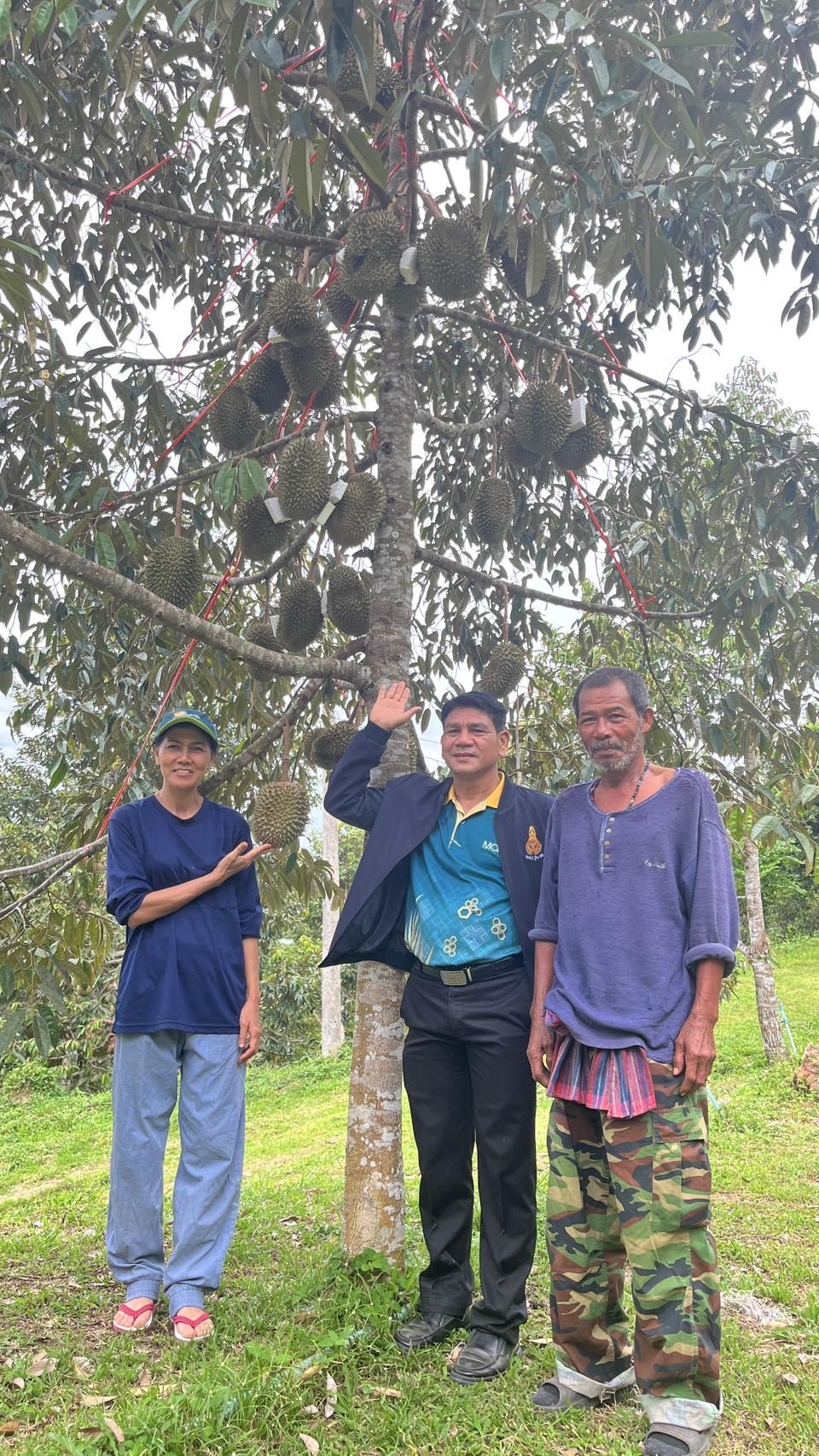 ภาพประกอบที่ 9