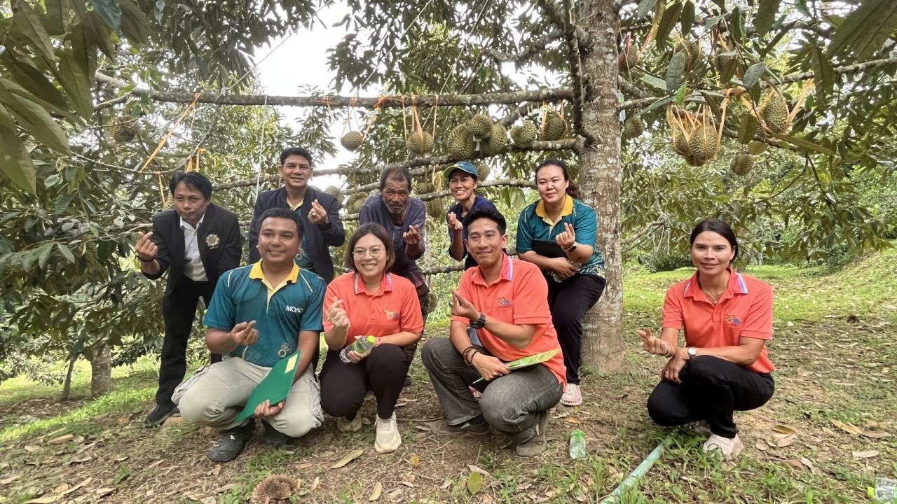 ภาพประกอบที่ 11