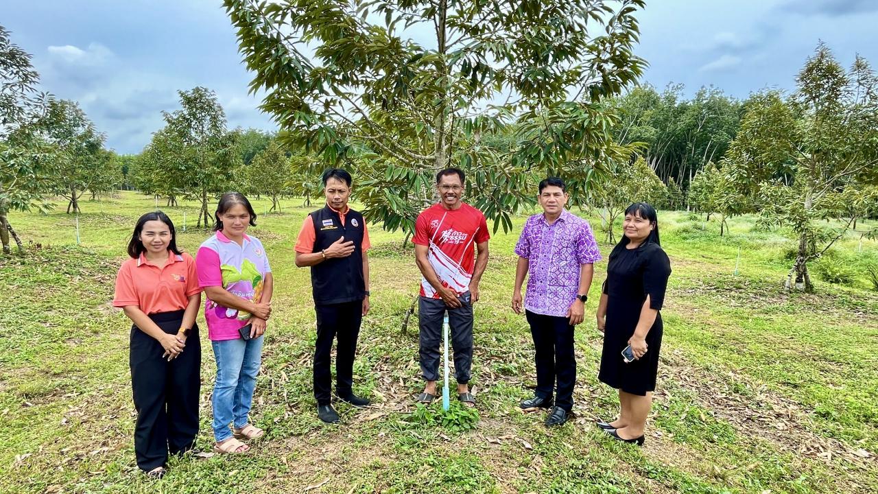 ภาพประกอบที่ 3