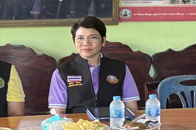 ภาพประกอบที่ 3