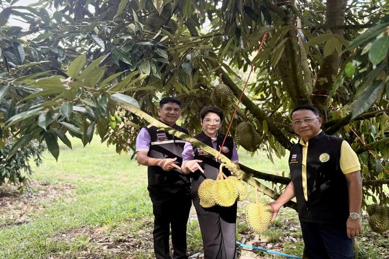 ภาพประกอบที่ 5