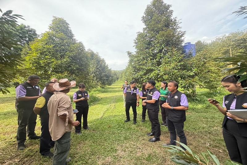 ภาพประกอบที่ 6