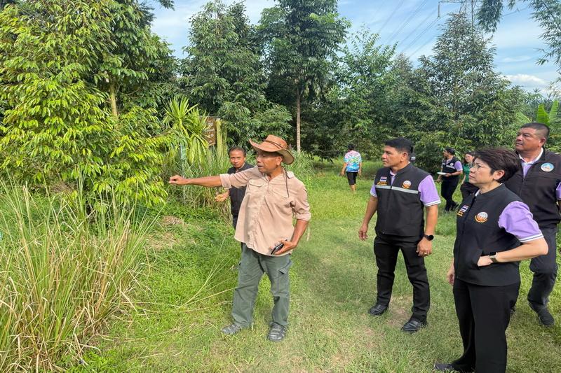 ภาพประกอบที่ 7