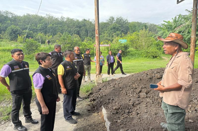 ภาพประกอบที่ 8