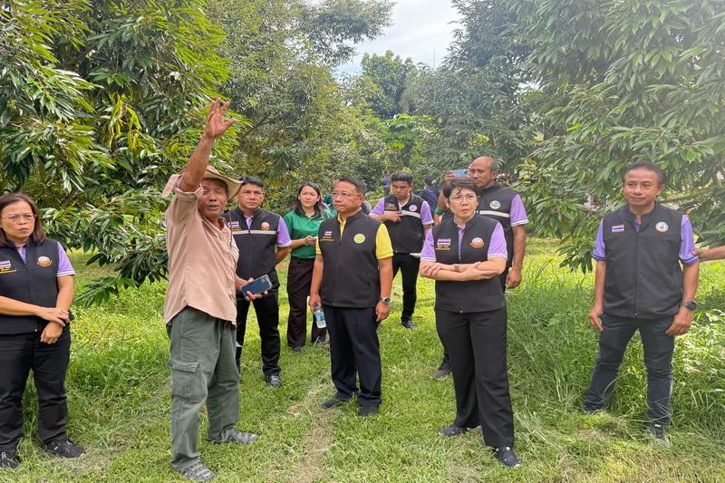 ภาพประกอบที่ 11